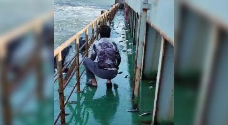 গভীর সমুদ্রে জাহাজে লাফিয়ে উঠল প্রায় তিন মণ ইলিশ